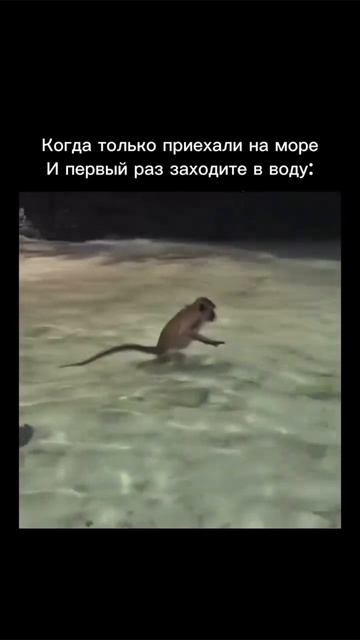 Знакомо?