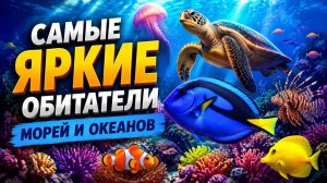 Самые яркие обитатели морей и океанов