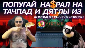 Попугай нагадил на тачпад и Дятлы из... Ремонт игрового ноутбука Victus HP Gaming Laptop 16 (2023)