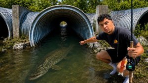 Парень заметил в водостоке огромную рыбу. Ему удалось выловить