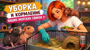Наводим чистоту у Малышки и кормим всех любимцев.