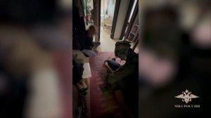 В Московском регионе полицейские пресекли незаконный оборот камчатского краба без маркировки