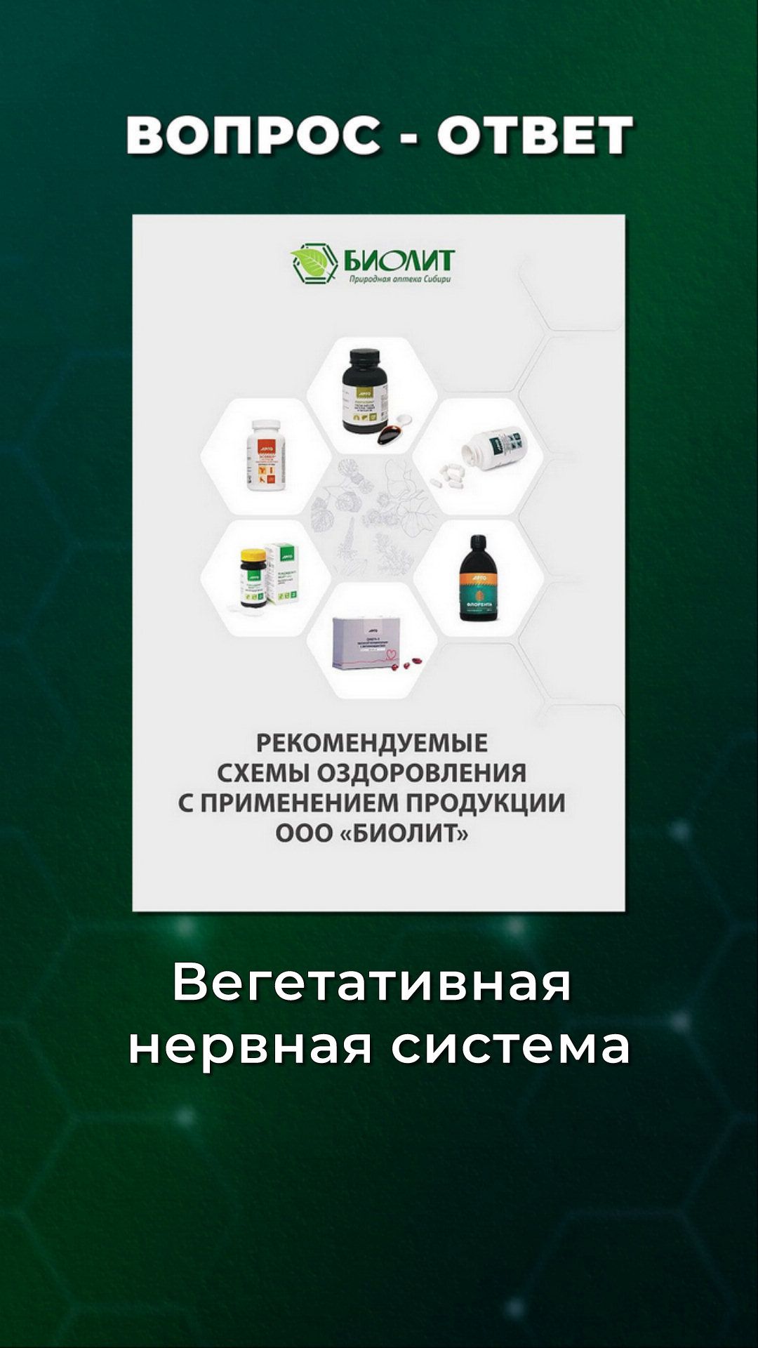 Вегетативная нервная система