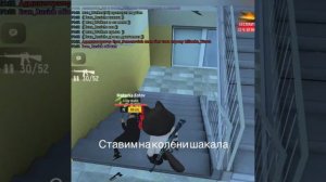 14292.mp4