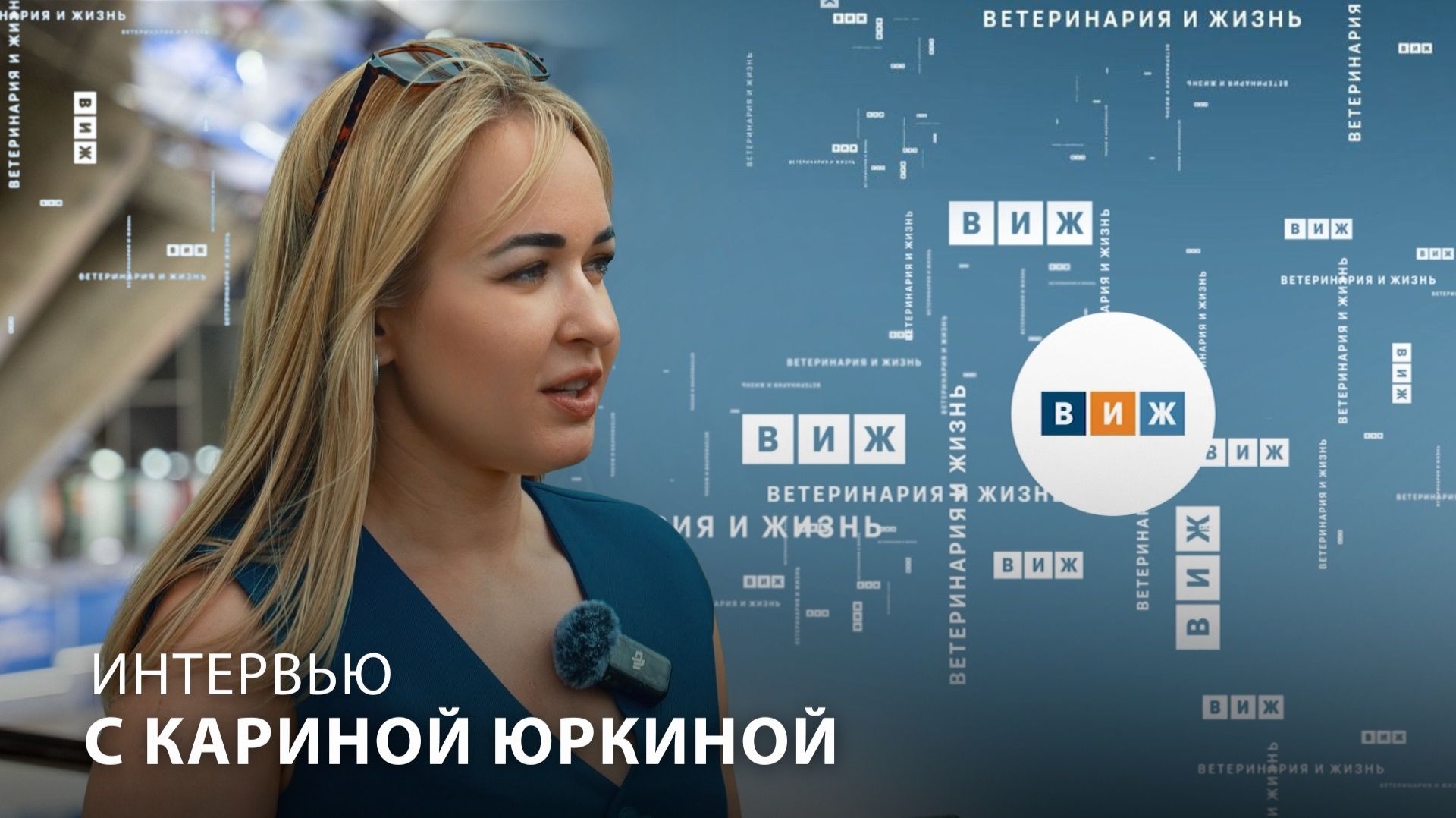 Опыт, который не получить на парах: зачем будущему ветеринару практика