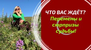 ПЕРЕМЕНЫ УЖЕ НА ПОРОГЕ! 🔮 Что важного и интересного произойдёт с вами в ближайший месяц?