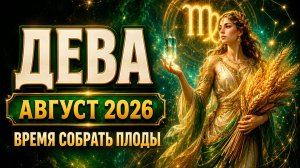 ♍ Дева — Гороскоп на август 2026 года