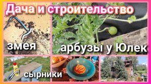 арбузы//завтрак//змея