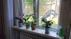 Продолжаю уборку, покрасила дверь
