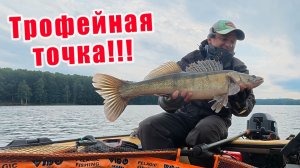 СХОД ОГРОМНОЙ ЩУКИ и ЛОВЛЯ СУДАКА с Garmin Panoptix!!! Спиннинг Ronin Rush SUPER SONIC GENESIS!