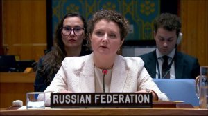 Выступление А.М.Евстигнеевой на открытых дебатах СБ ООН по ситуации на Ближнем Востоке