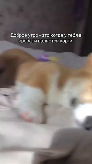 ❤️❤️❤️