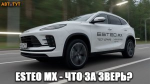 Что это за зверь?! Первый тест-драйв ESTEO MX 2026 — нового бренда в России!