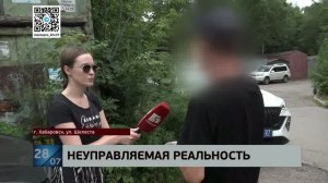 Все время ехал не туда: неадекватный шофер на Шелеста повредил две стоящие машины и врезался в столб