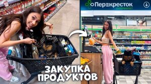 ЗАКУПКА ПРОДУКТОВ НОЧЬЮ 👉 Эля в ШОКЕ 🙈😂