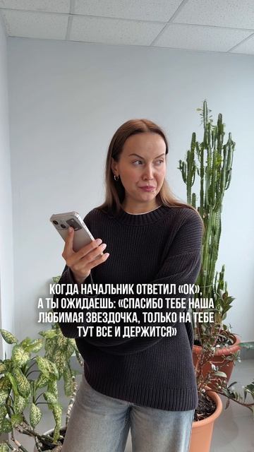 Когда начальник ответил "ок"...