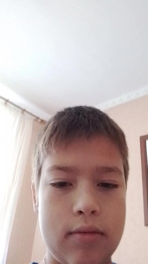 краштест игрушек