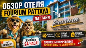 Fourium Pattaya — отель с питомцами и честными 24 часами проживания