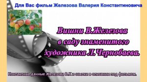 Вишни В.Железова  в саду знаменитого художника Л.Чернобаева.