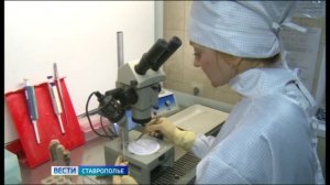 Клещи на Ставрополье все еще на пике активности