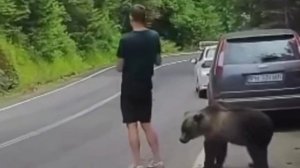 В Румынии турист так залип в телефон, что не заметил медведя.😀