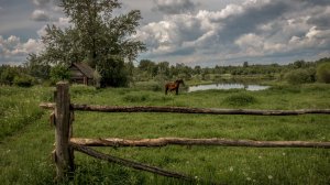 Особый режим жизни для подранков (после токсичного детства) Психолог Марина Линдхолм