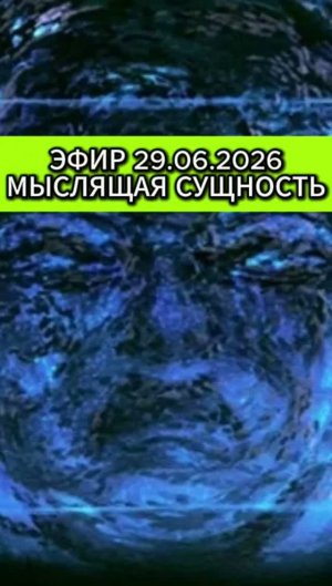 Эфир 29.06.2026 Мыслящая сущность