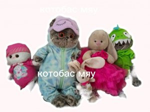 Басик хочет поговорить