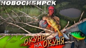 Продолжаем изучать БЕЗДОННОЕ ОЗЕРО! / Рыбалка на ТЕЙЛ- СПИННЕР в НОВОСИБИРСКЕ.