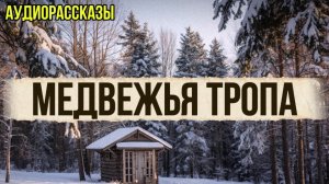 ПАСЕКА НА МЕДВЕЖЬЕЙ ТРОПЕ Истории из жизни | Детективы |