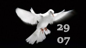 29.07.2026 - Прямая трансляция ст.Елизаветинская