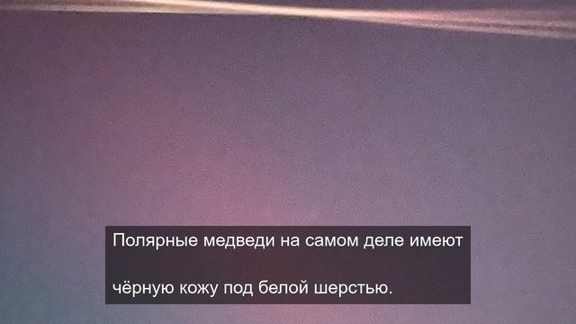 добрый друг 2