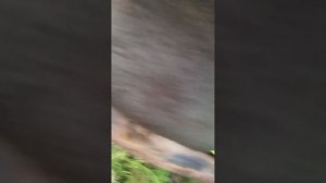 Просто замена масла в Ниве ВАЗ-2131