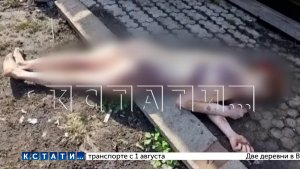 27‑летнюю девушку подруга обрила, облила зелёнкой, изнасиловала и выбросила в таком виде на улицу