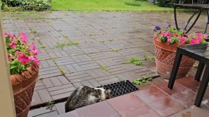 🔥Клепа все рассказал Бычковскому, тот пришёл посмотреть своими глазами 🐈🐈⬛