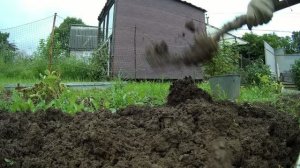 Садил в апреле картофельные глазки. Стоило ли это делать. Урожай.