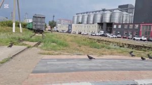 Куда я ездила, что купила и с кем встретилась? Всё самое интересное в этом видео!