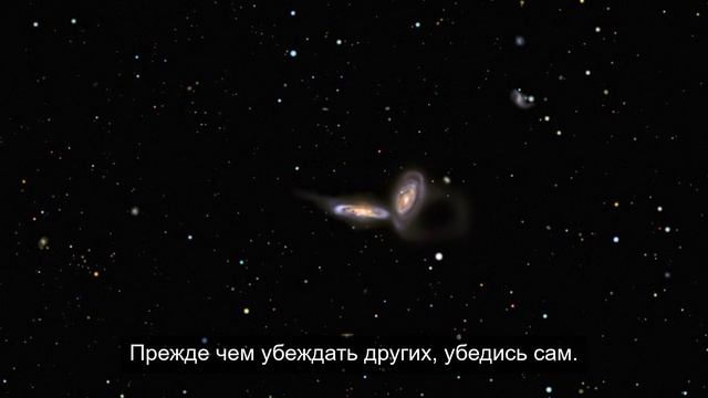 Сливки общества 4