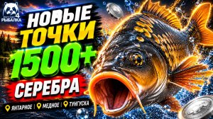 🤑 ТОП-5 ТОЧКИ ФАРМА и РАЗДАЧА ТРОФОВ РР4 (29.07)! СВОДКА по ВОДОЕМАМ! ЯНТАРНОЕ • МЕДНОЕ • ТУНГУСКА