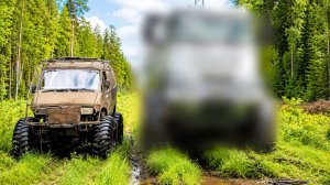 Лютая газель vs Илинг шоу и что скрывает старшее поколение.