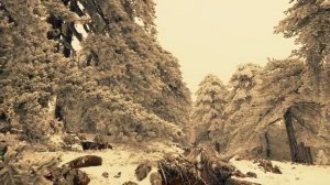 Духовные истоки болезни рак