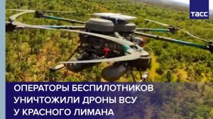Операторы беспилотников уничтожили дроны ВСУ  у Красного Лимана