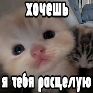 стрим:﹥ (играю в роблокс ник: kira_love6768)