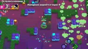 играю в нулс