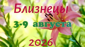 Близнецы♊ Таро-прогноз на неделю с 3 по 9 августа 🕊