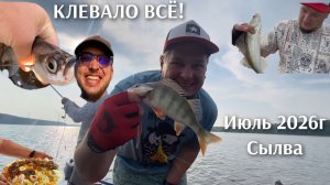 Окуневый беспредел на Сылве | ТЕМПОВАЯ ЛОВЛЯ: пулемет по окуню на закате