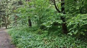 VID_20260729_124038