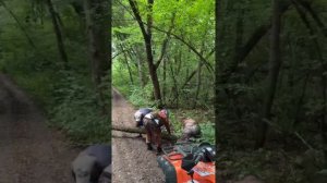 Наши дети не сидят в телефонах