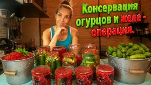 Консервация огурцов и желе - операция 🥒