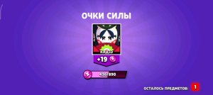 бой без правил